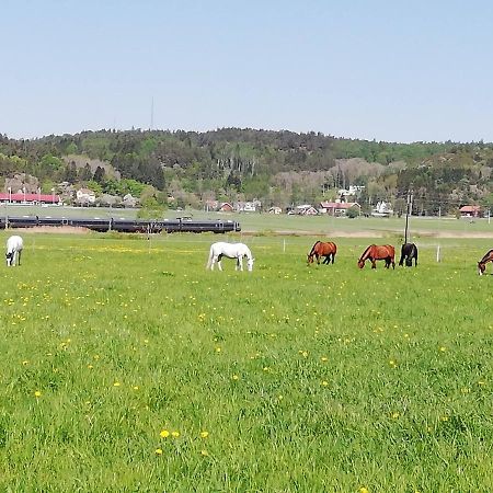 Stuga Pa Hammarbergs Gard Kungsbacka Eksteriør billede