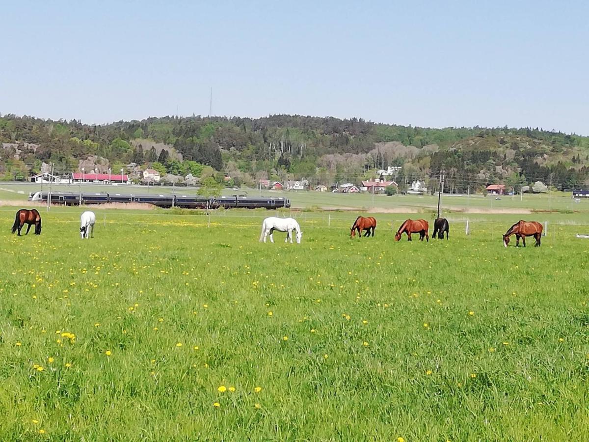 Stuga Pa Hammarbergs Gard Kungsbacka Eksteriør billede